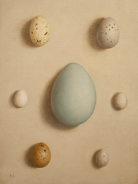 Jonathan Koch - Bird Egg Study No.2