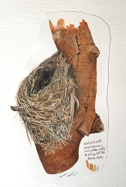 Maryjo Koch-Flycatcher Nest