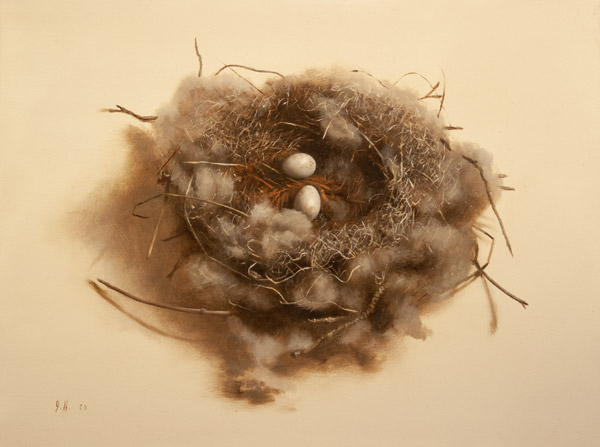 Jonathan Koch - Flycatcher's Nest'