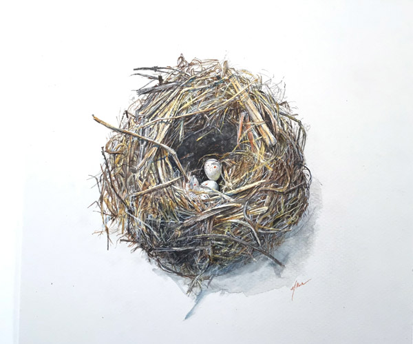 Maryjo Koch-Nest with Three Eggs